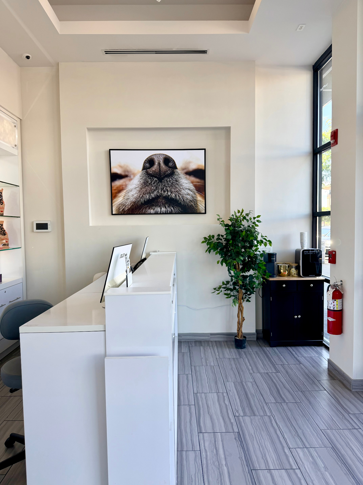 Inside the new Snoots clinic at The Shops at the Promenade in Clifton, NJ