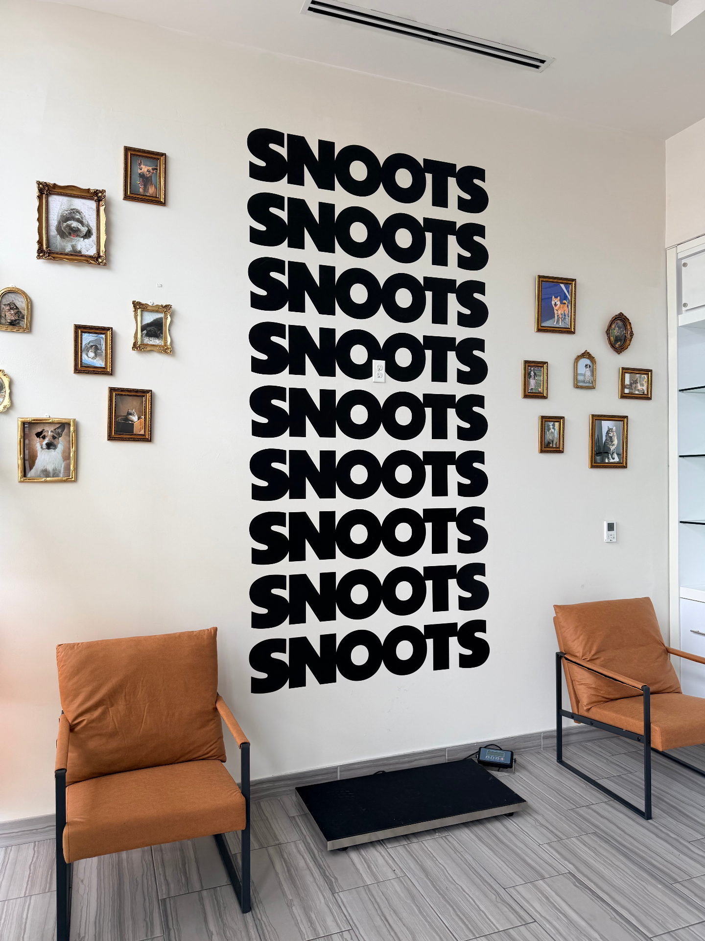 The Snoots Clifton clinic waiting area